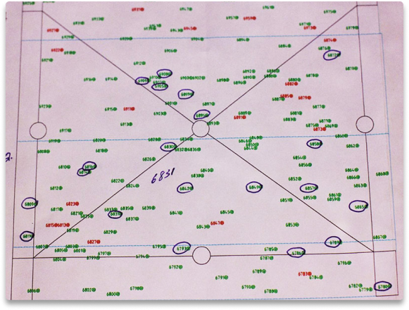 FOREST MANAGMENT PLAN